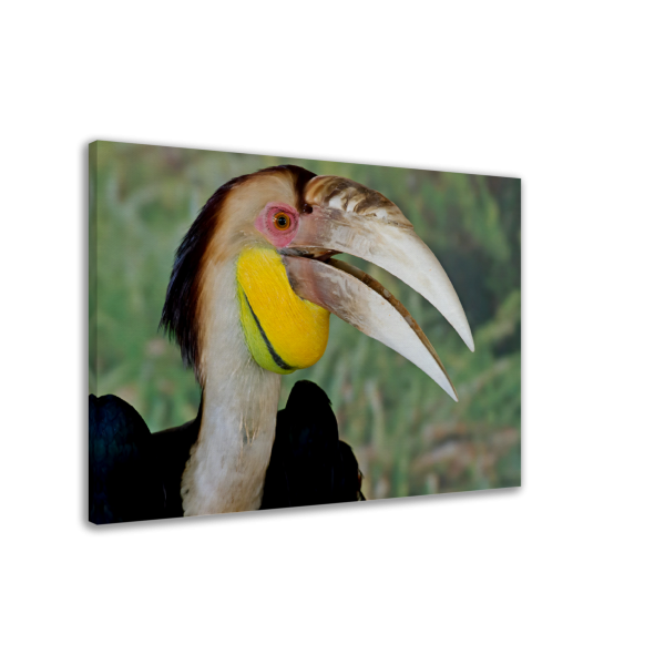 e2ae1f48-722d-434f-98ed-8f130b164ad7.png e2ae1f48-722d-434f-98ed-8f130b164ad7